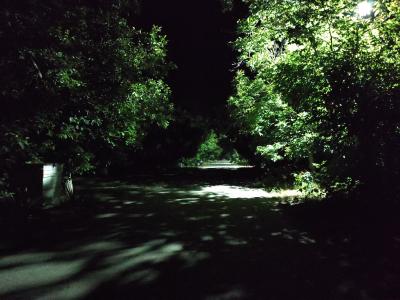 Прикрепленное изображение: IMG_20210703_225904_resize_53.jpg